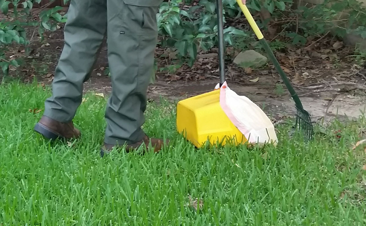 dog poop pickup