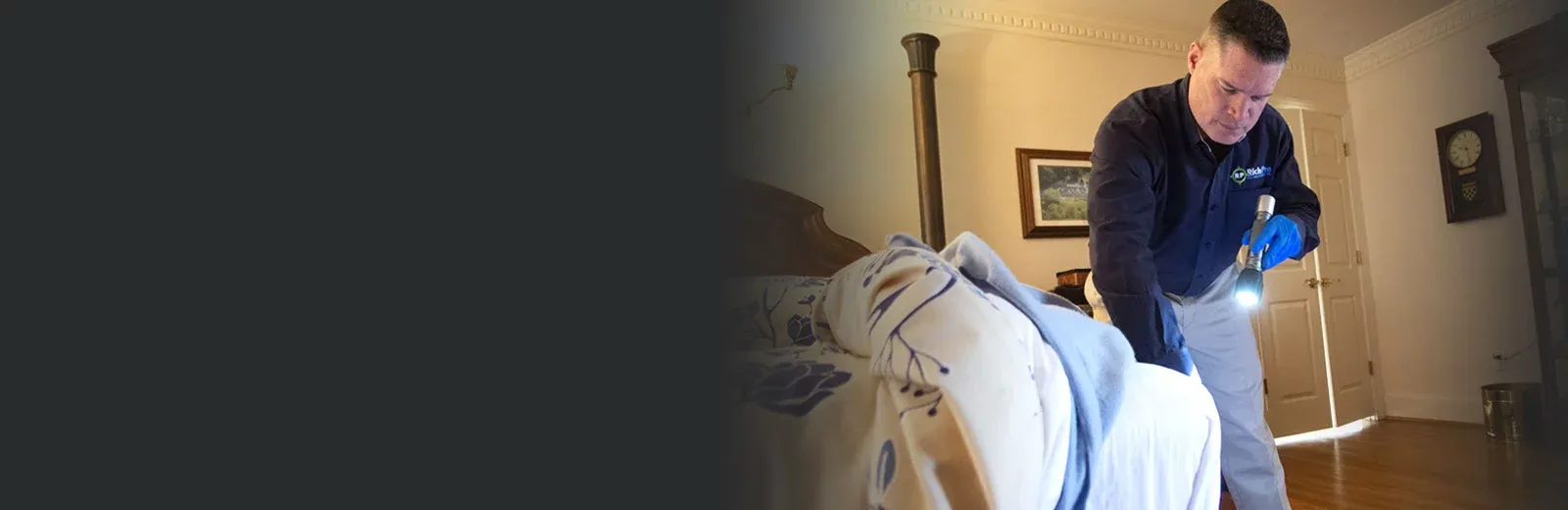 affordable bed bug treatment