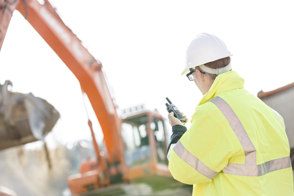 online EHS consulting